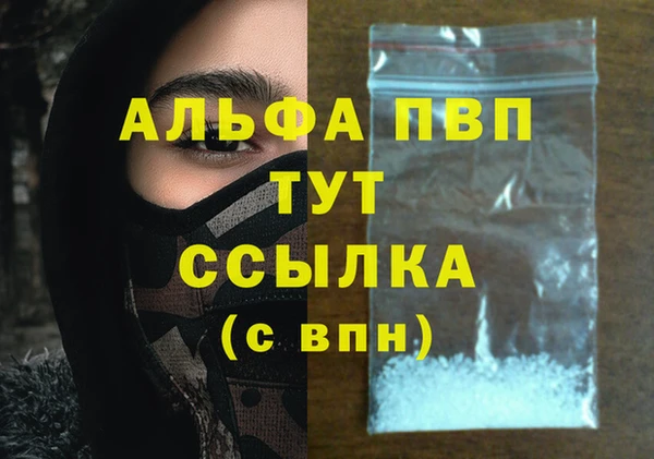 гидра Зеленокумск